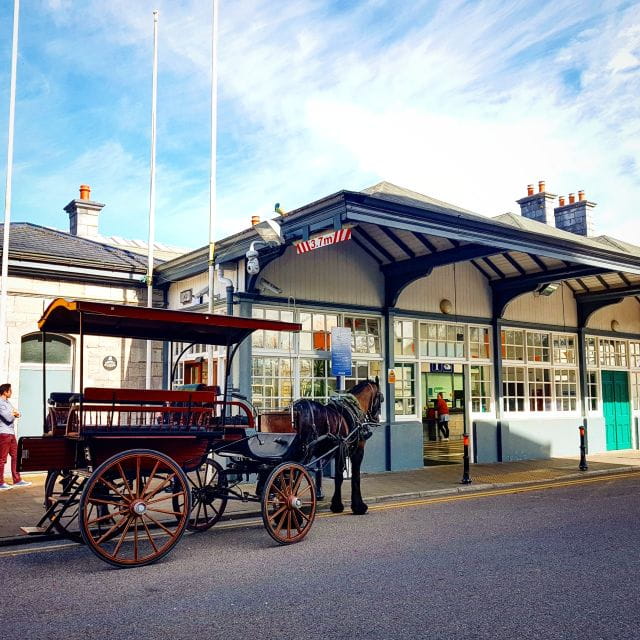 Killarney: 1-Hour Jaunting Car Horse and Carriage Tour - The Guide and Riding Experience