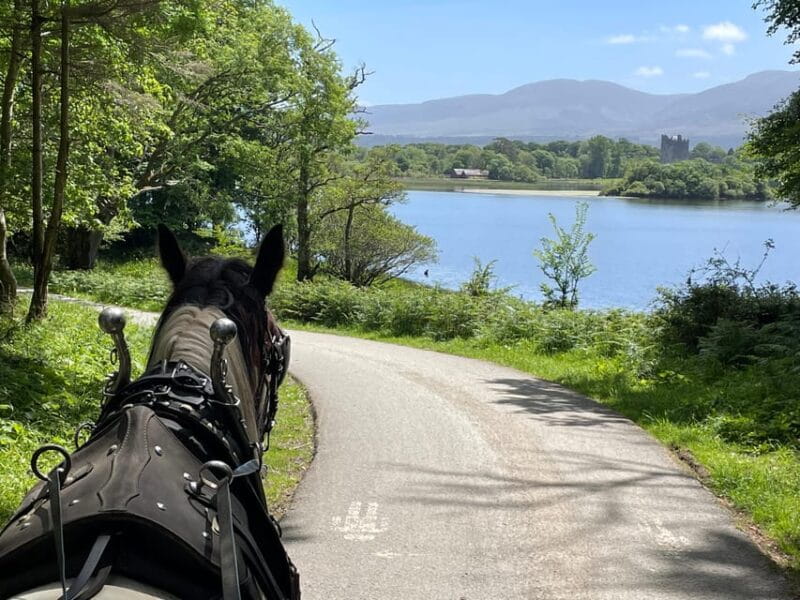 Killarney Carriage Tours National Park and Lakes - Key points / Takeaways