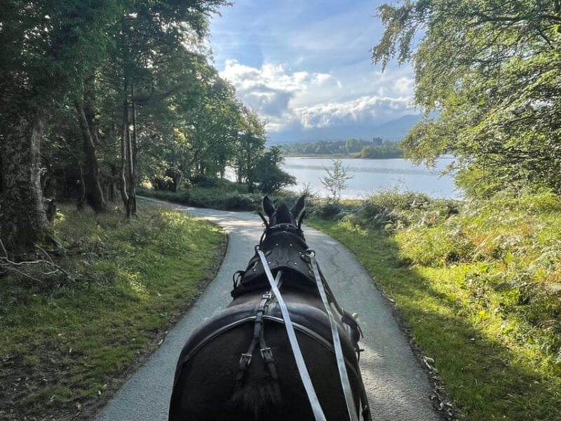 Killarney Carriage Tours National Park and Lakes - An In-Depth Look at the Experience