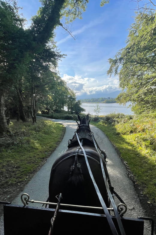 Killarney Carriage Tours National Park and Lakes - The Sum Up