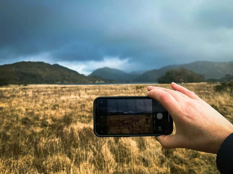 Killarney: Fully Guided Killarney National Park Photo Walk - Price, Duration, and Booking