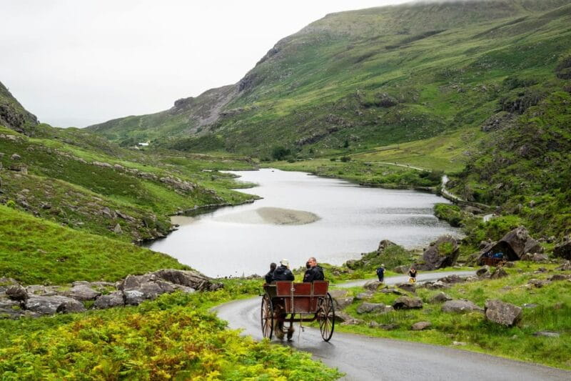 Killarney Highlights Walk  Castle Lake Carriage Ride - Exploring Killarney: A Complete Guide to the Highlights Walk & Carriage Ride