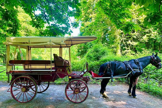 Killarney Jaunting Car Tour - Price and Practical Considerations