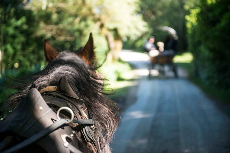 Killarney: Jaunting Car Tour with Afternoon Tea - A Scenic Ride Through Irish Countryside