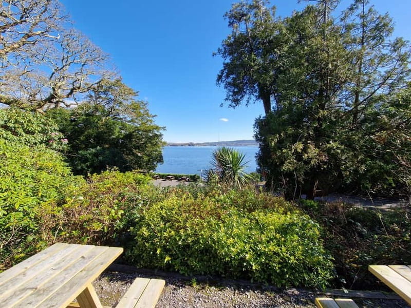 Killarney: Lakes Boat Tour, Meeting of the Waters - What Makes This Tour Worthwhile?