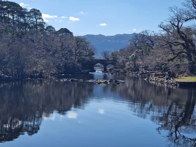 Killarney: Lakes Boat Tour, Meeting of the Waters - Final Thoughts: Who Should Consider This?