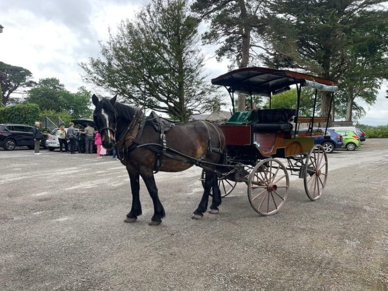 Killarney National Park Jaunting Car Tour - Key points / Takeaways