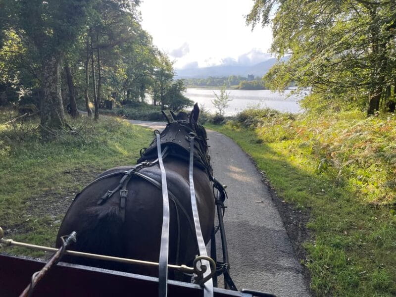 Killarney National Park Jaunting Car Tour - Who Should Do This Tour?