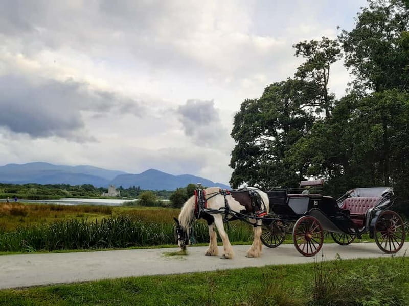 Killarney National Park Tour - Key points / Takeaways