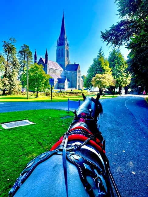 Killarney National Park Tour - Discovering Killarney’s Lakes and Castles