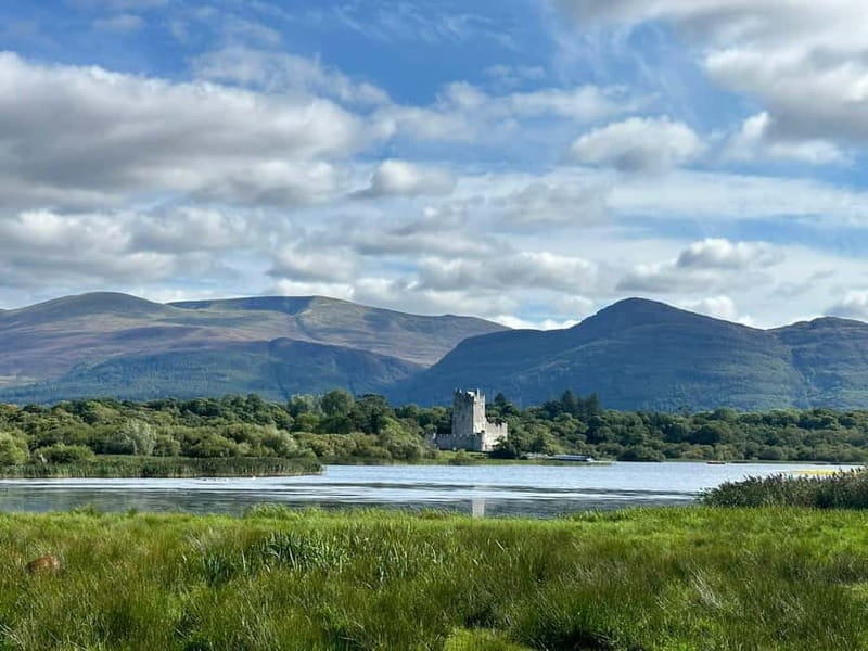 Killarney National Park Tour - Price and Logistics: Is It Worth It?