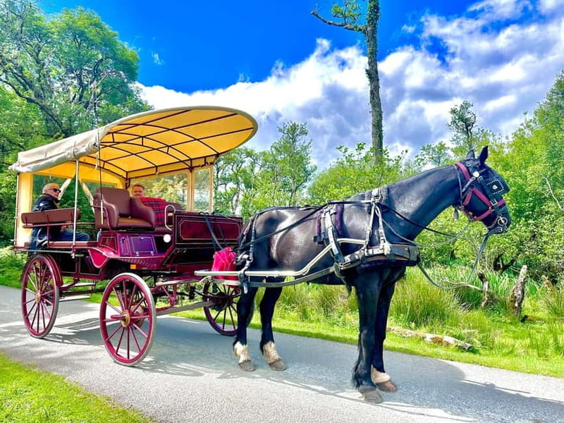 Killarney National Park Tour - Frequently Asked Questions