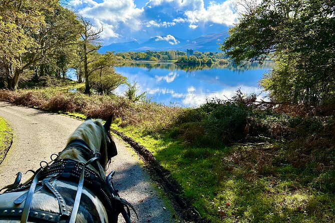 Killarney National Park Tour - Accessibility Considerations