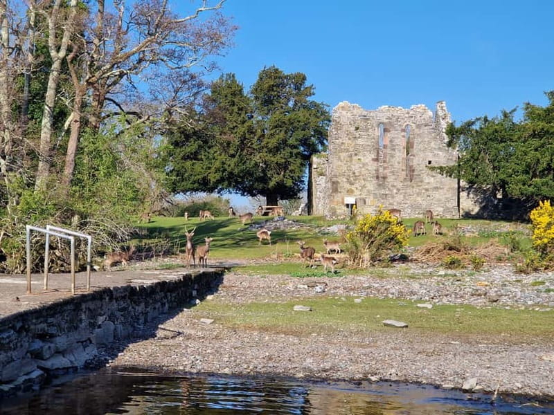 Killarney: Orienteering Boat Tour on the Lakes of Killarney - Key points / Takeaways