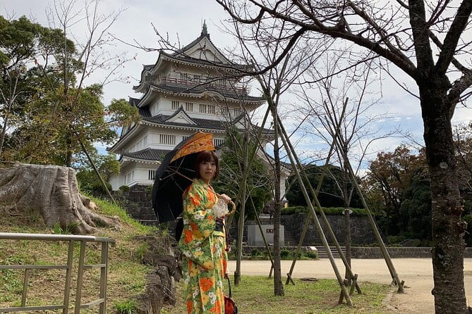 Kimono Dressing & Tea Ceremony Experience at a Beautiful Castle - Accessibility Considerations