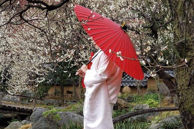 Kimono Tokyo Tour - Wheelchair and Stroller Accessibility