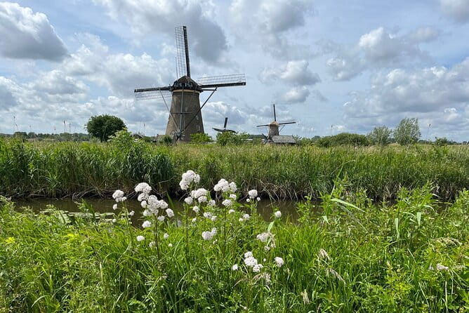 Kinderdijk Windmills, Delft City & Delft Blue Factory Visit - A Detailed Look at the Tour Experience
