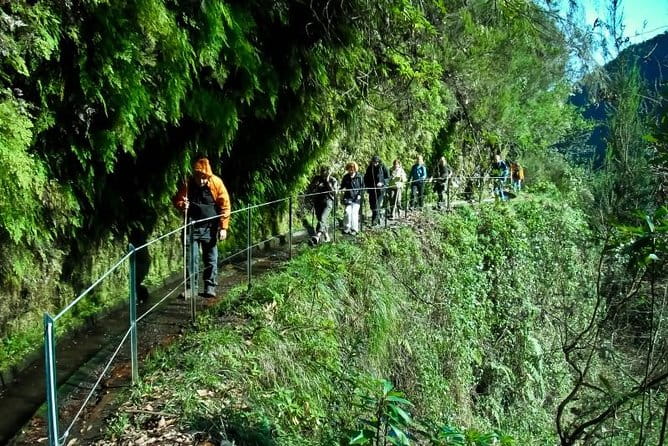 Kings Levada - An In-Depth Look at the Kings Levada Experience