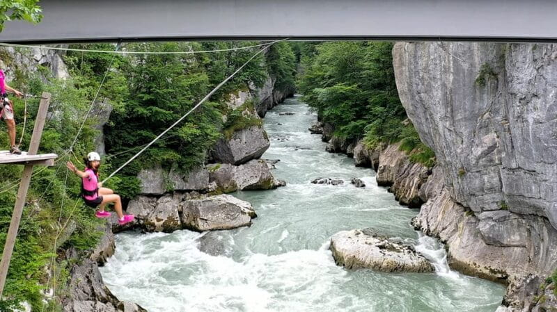 Kingswing "I hob a gschrian" - Who Will Love This Experience?