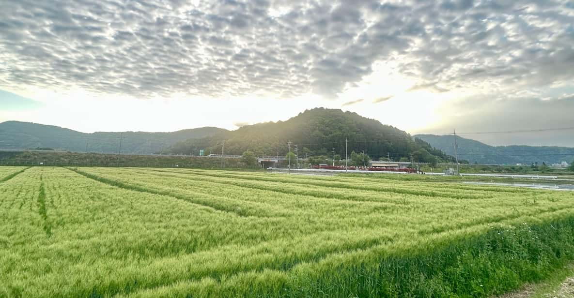 Kinomoto: OMAKASE Tour Review - Itinerary Highlights