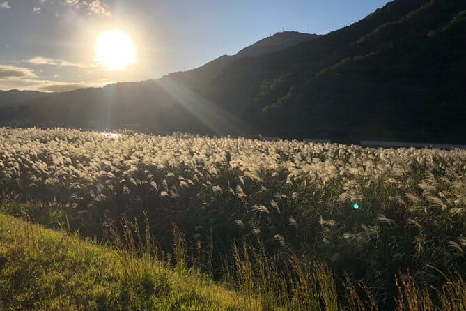 Kinosaki:Rental Electric Scooter-Hidden Alleyways Route-/90min - Participation Requirements and Restrictions