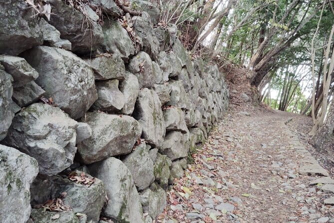 Kintai Kyo Bridge and Iwakuni Castle With Local Guide - Key Points