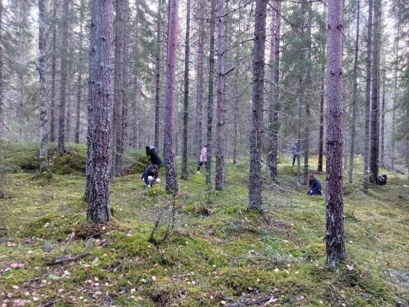 Kintulammi Nature Experience (Nature reserve near Tampere) - Key Points/Takeaways