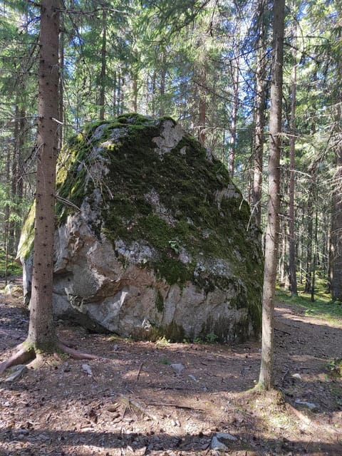 Kintulammi Nature Experience (Nature reserve near Tampere) - The Lunch Break: Simple, Satisfying, and Local
