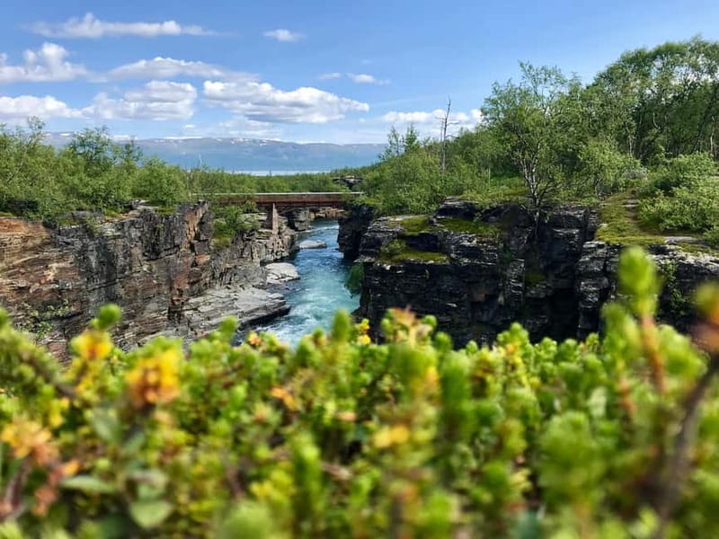 Kiruna: Abisko National Park Guided Day Tour with Lunch - Discovering Abisko: From Kiruna’s Edge to the Heart of the Wilderness