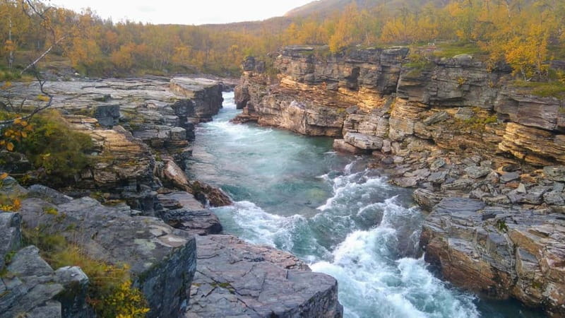Kiruna: Abisko National Park Guided Day Tour with Lunch - Who Will Love This Tour?