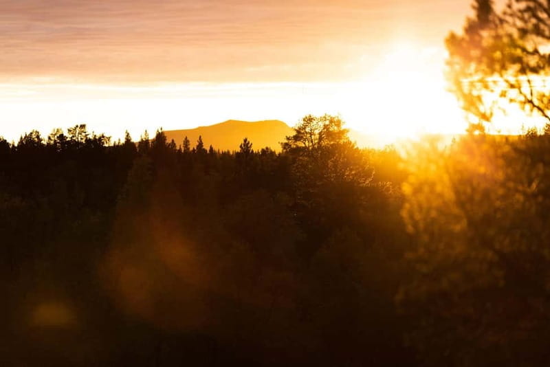 Kiruna: Arctic Summit Views in the Midnight Sun - Key points / Takeaways