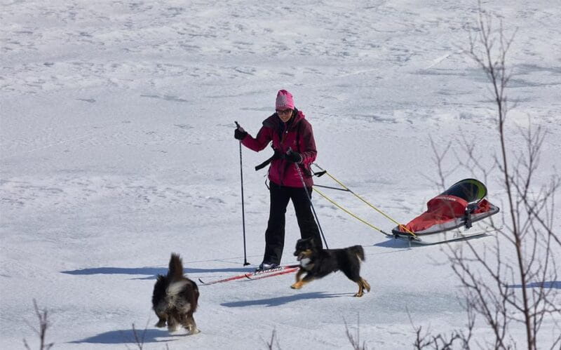 Kiruna: Cross-Country Skiing Tour with a Guide - Key points / Takeaways