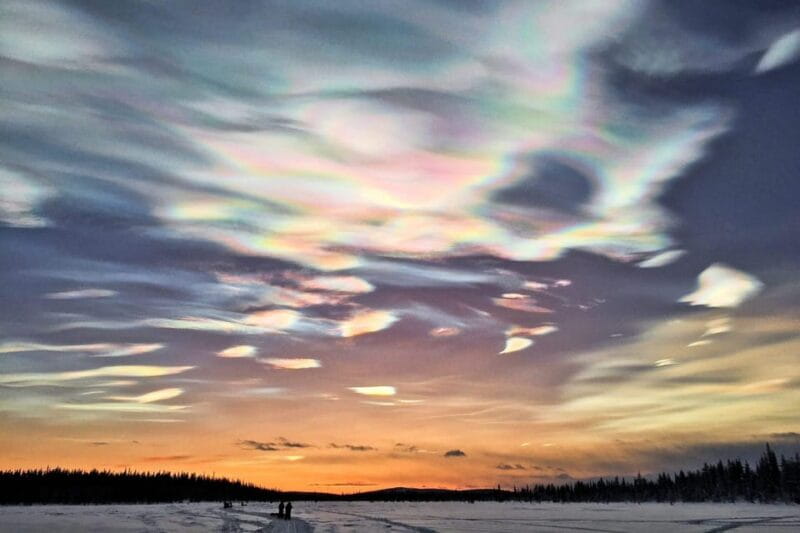 Kiruna: Morning Husky Sled Ride with Coffee Break - Who Will Love This Experience?