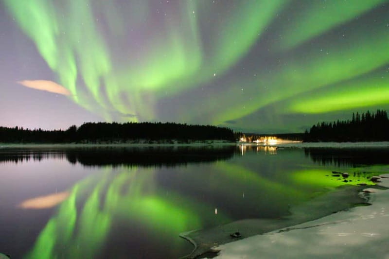 Kiruna: Northern Lights Dog Sled Tour with Swedish Fika - Who Will Love This Tour?