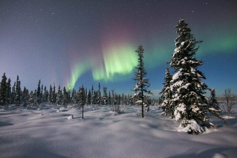 Kiruna: Northern Lights Minivan Chase with Warm Drink - Who Would Love This Tour?