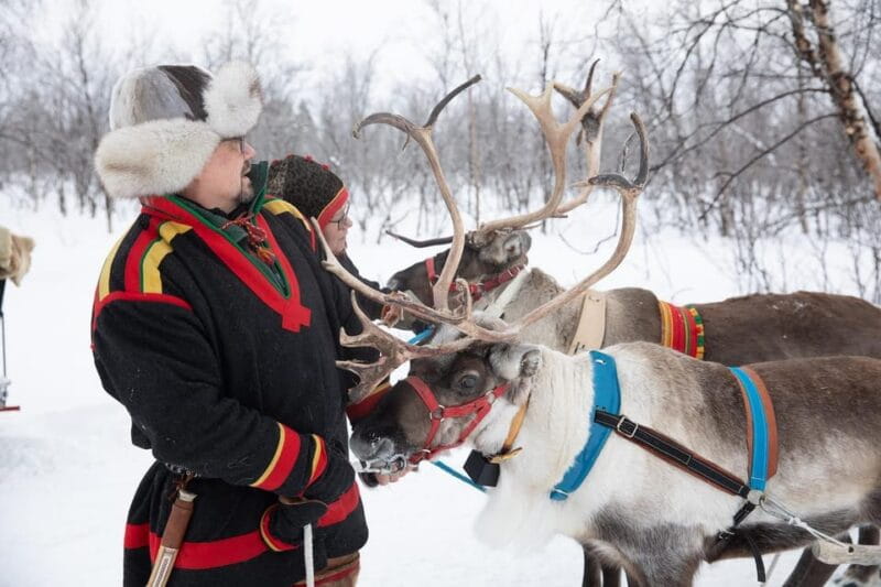 KIRUNA: Sami Reindeer Experience - Price and Value Analysis