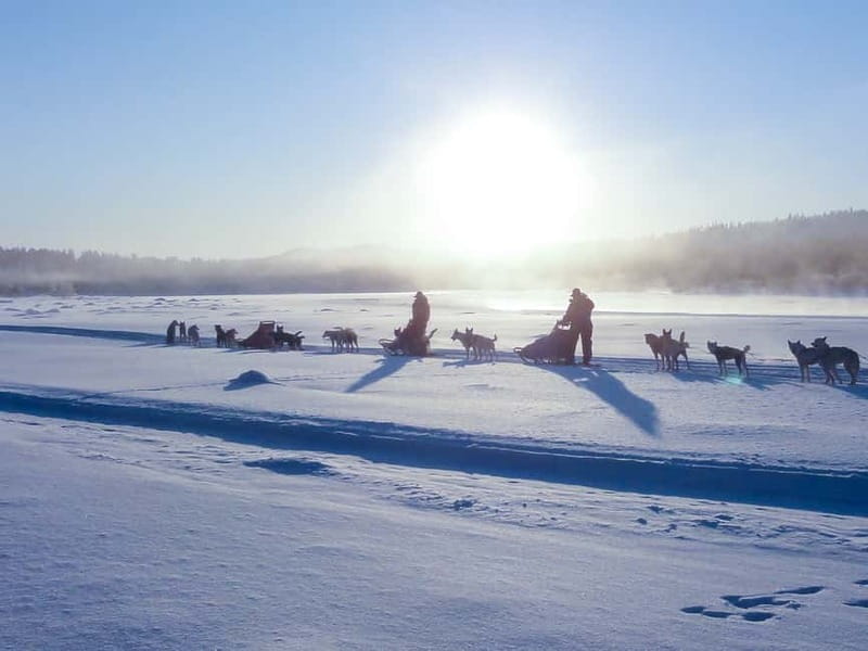 Kiruna: Self-drive Husky Morning Tour - The Experience in Detail: What to Expect from Start to Finish