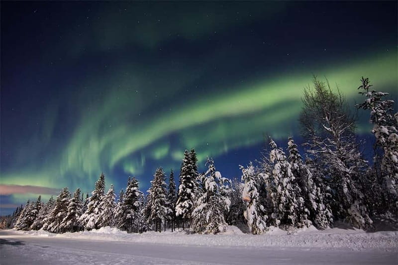 Kiruna: Snowshoe Trek with Aurora Hunt and Warm Beverage - Why This Tour Offers Great Value