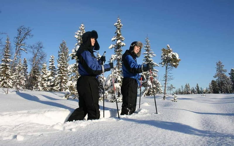 Kiruna: Snowshoe Trek with Warm Beverage and Sandwich - Key Points / Takeaways