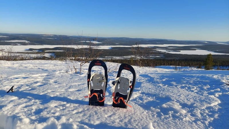 Kiruna: Snowshoe Trek with Warm Beverage and Sandwich - The Wilderness and Wildlife Tracking