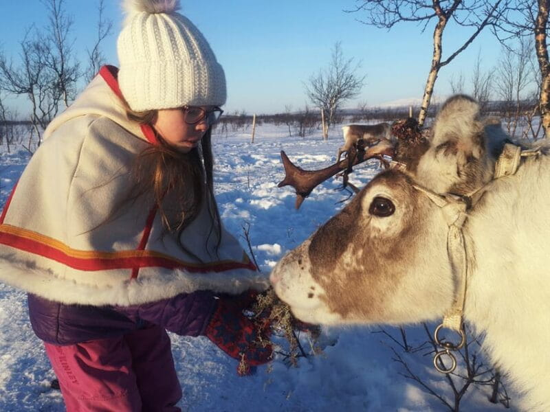 Kiruna: Tour of Icehotel and Jukkasjärvi - Is This Tour Worth It?