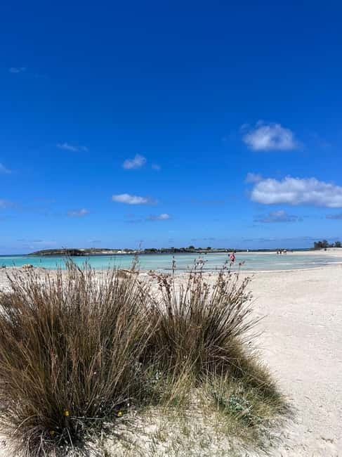 Kissamos: Elafonisi Beach Day Tour by MiniBus - Key Points / Takeaways