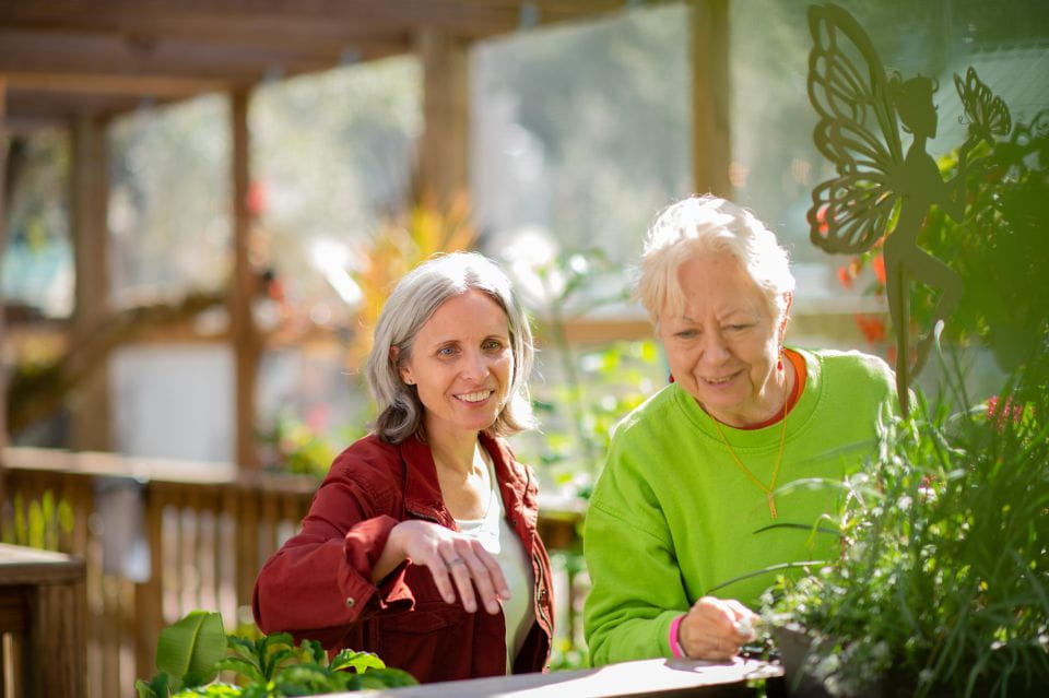 Kissimmee: Boggy Creek Airboat Ride With Optional Meal - Wildlife Experience and Education