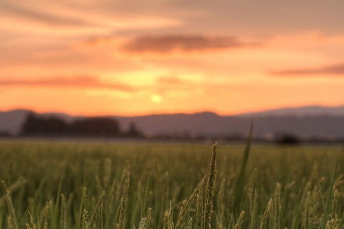 Kitakata Full-Day Private Tour With Government-Licensed Guide - Booking and Cancellation Policies