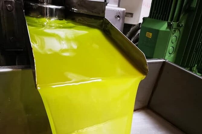 Knossos, Olive Grove, Winery - Distillery with Tastings & Lunch - Who Will Love This Tour?