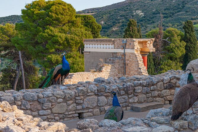 Knossos Palace Private Walking Tour - The Sum Up: Why This Tour Is Worth Considering