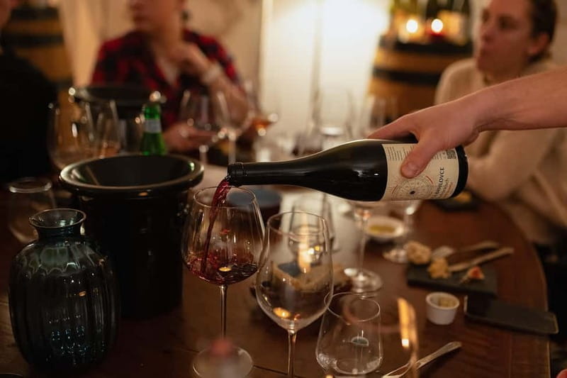 Know Your Wines in Bratislava - Exploring the Itinerary and Key Highlights