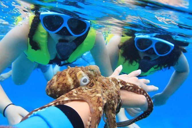 Ko Olina Catamaran Sail and Snorkel - Onboard Amenities