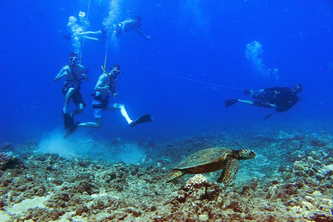 Ko Olina Catamaran Sail and Snorkel - Gear and Equipment