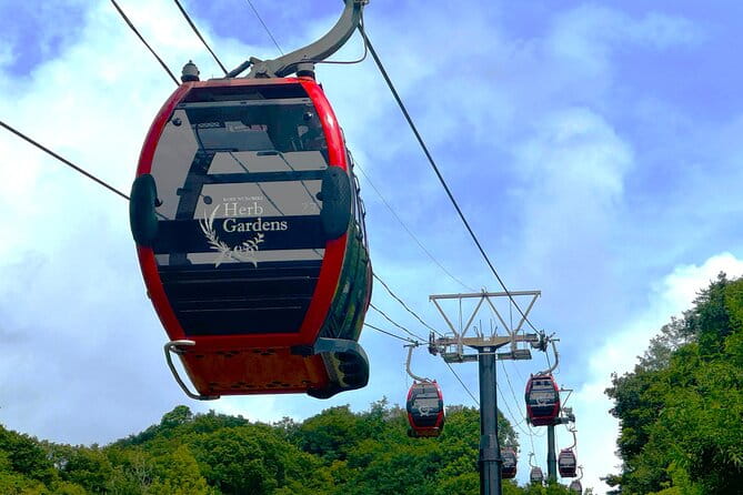 Kobe Private Custom Tour - Highlights of Kobe to Explore